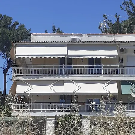 With Sea View メタモルフォシ