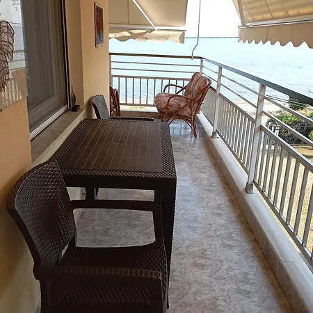 With Sea View * メタモルフォシ